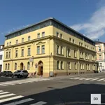 Rent 4 bedroom apartment in Hradec Králové