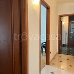 Rent 3 bedroom apartment of 80 m² in Trento