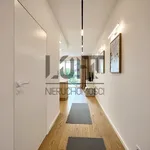 Rent 3 bedroom apartment of 54 m² in Lublin