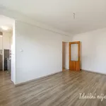 Pronajměte si 2 ložnic/e byt o rozloze 43 m² v Prague