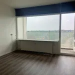 Studio van 23 m² in Sprengenbos