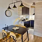 Rent 2 bedroom apartment of 55 m² in City of Zagreb