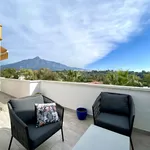 Rent 1 bedroom apartment of 969 m² in Marbella