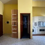 Rent 1 bedroom apartment of 35 m² in Torino