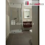 Rent 1 bedroom apartment of 47 m² in Karlovy Vary