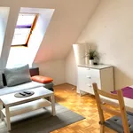 Miete 1 Schlafzimmer wohnung in Graz