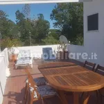 Penthouse via Terracina, Centro, San Felice Circeo