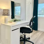 Rent 1 bedroom apartment in San Diego