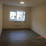 Rent 1 bedroom apartment in Capital City of Prague