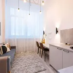 Rent 1 bedroom apartment in vilnius