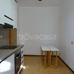 Rent 3 bedroom apartment of 90 m² in Segrate