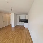 Rent 2 bedroom apartment of 49 m² in Graz