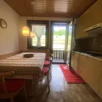 Rent 1 bedroom apartment of 50 m² in san vito di cadore