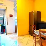 Rent 2 bedroom apartment of 55 m² in Roma