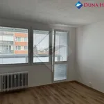 Rent 1 bedroom apartment in Prague