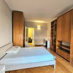 Rent 4 bedroom apartment of 130 m² in Turin