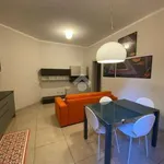 Rent 2 bedroom apartment of 60 m² in Bologna