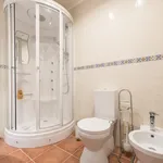 Rent 1 bedroom apartment in Lisbon