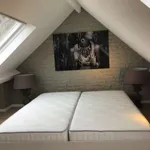 Huur 1 slaapkamer appartement van 55 m² in brussels