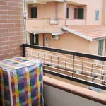 Rent 2 bedroom apartment of 48 m² in Grosseto