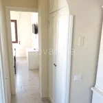 Rent 2 bedroom apartment of 45 m² in Nettuno