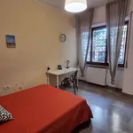 Rent a room in naples