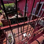 Rent 3 bedroom apartment of 90 m² in Napoli