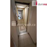 Rent 1 bedroom apartment of 45 m² in Prague