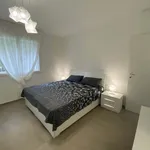 Rent 4 bedroom apartment in Bologna