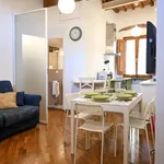 Rent 3 bedroom apartment of 75 m² in Pisa