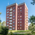 Rent 2 bedroom apartment of 41 m² in Celle