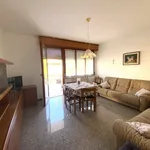 Rent 3 bedroom apartment of 105 m² in rimini