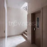 Rent 2 bedroom apartment of 50 m² in Milano