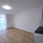 Rent 1 bedroom apartment of 20 m² in Čížová