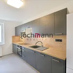 Rent 3 bedroom apartment of 90 m² in České Budějovice