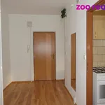 Rent 1 bedroom apartment in Chomutov