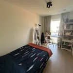 Rent 1 bedroom apartment in Aalst