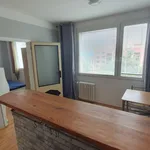 Rent 1 bedroom apartment of 33 m² in Ústí nad Labem