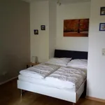 Rent 1 bedroom apartment of 38 m² in Markkleeberg