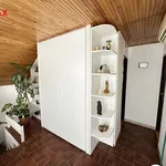 Rent 4 bedroom house of 1000 m² in hostalkova