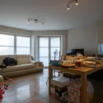 appartement avec 2 chambres et terrasse au centre de tirlemo