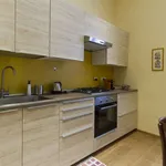 Rent 1 bedroom apartment of 50 m² in turin