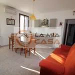 Rent 3 bedroom apartment of 90 m² in legnaro