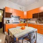 Rent 4 bedroom apartment of 100 m² in Torino