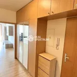 Rent 1 bedroom apartment of 33 m² in Brno