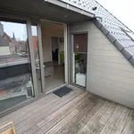 Huur 1 slaapkamer appartement in Zingem