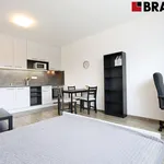 Rent 1 bedroom apartment of 28 m² in Brno