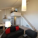 Rent 2 bedroom apartment of 58 m² in Toulouse