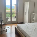 Rent 3 bedroom house of 50 m² in Turin