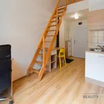 Rent 1 bedroom apartment in Brno